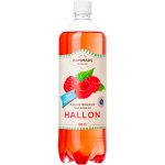 Hammars Bryggeri Hallonsoda Sockerfri – 1L