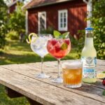 ahus_tonics_citrusfizz_citron-2